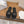 CD 26s Strappy Slippers Black Leather 998641