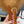 CL Gold 25mm Triomphe Camel Brown Cowhide 616408