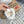 Miu Balance 530 SL Sneakers Fleece Lining White Retro Suede