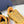 CD B44 Blade Sneaker Dark Yellow Mesh Fabric 989539