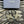 CD ALIAS SANDAL JUNIPER AND BEIGE JACQUARD