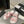 dad sandal mule striped pink white fabric calfskin