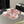dad sandal mule striped pink white fabric calfskin