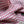 PLAID EMBROIDERY SCARF 180 CM IN BRIGHT PINK CASHMERE 399964