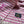 PLAID EMBROIDERY SCARF 180 CM IN BRIGHT PINK CASHMERE 399964