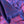 SCARF 180 CM IN VIOLET PURPLE GG PATTERN MONOGRAM WOOL 407526