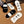 FLAT SOCKS 427655 (1 BOX)