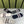FLAT SOCKS 427656 (1 BOX)