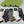 CREW SOCKS 279732 (1 BOX)