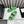 dad sandals green white mules