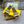 FF Signature 10 Yellow Brown Cotton Fibre Slide