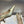 cd slingback pump 65 gold green cakfskin
