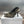 cd slingback pump 95 transparent mesh embroidered black sun motif