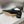 CD Miss Dior Pump 35mm Glossy Black Lambskin