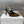 CD J'Adior Slingback Pump 95mm Leopard Print Yellow Black Nubuck Leather