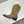 CE 26s Mid-Calf Boots 4.5cm Khaki Suede 959452