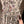 CD Print Long Skirt Multicolor Cotton