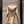 Fendi Hooded Windbreaker Jacket Beige Cotton