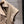 CD Shoulder Vest Jacket Beige Polyester