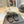 SL KOUROS THONG SANDALS BLACK CALFSKIN