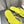 cc thong sandal yellow velvet
