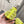 ALAIA PEARL MARY JANE SHOES IN NEON YELLOW MESH AND CALFSKIN