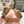 Miu Slippers Light Brown Soft Imported Wool And Fur