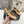 Alaila Biker Ballet Flats In Beige Cowhide 911448
