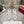 Viv 25 Square Buckle Platform White Cowhide 262981