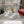 Viv 25 Square Buckle Platform White Cowhide 262981