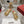Viv Platform Slippers Gold Early Weaving 300739