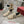 Viv 25 Loafer Beige Cowhide Lambskin 317469