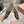 Miu Distressed Loafers Brown Cowhide 592058