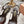 Miu 26 High Heel Slingback 75 Brown Chocolate Cowhide 592082