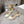 CD 26 Lolita High-Heeled 40 Ivory Patent Leather 592218