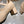 CD 26 Heel Mary Jane 40 Beige Patent Leather 592221