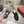 Roger Vivier 26s Viv' Ranger Half Loafer Black Patent Leather 679811