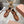 Miu 26s Gymnasium Ballerinas Brown Leather 679785