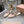 Miu Slingback Flats Light Beige Leather 901740