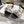 CD J'Adior Sandals White Black Canvas Leather 901712