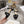 CD J'Adior Sandals Black Canvas Leather 901714