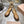 Miu 26s Clogs Ankle-strap Beige Leather 951507