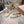Miu Miu 2026 Square Toe Ballet Flats Suede 999626