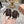 Miu Miu 2026 Round-Toe Ballet Flats Dark Brown Sheepskin 999627
