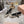Miu Miu 2026 Bouclé Check Ballet Flats Tweed Leather 999630