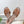 lv sandal isola flat mule brown calfskin star monogram
