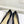 CD 25 Pump High Heels Black Calfskin 307420