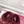 GG Horsebit Embossed Mule Red Suede And Wool 536051
