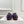 MM 26s Tabi Ballet Flats Plum Lambskin 947492