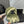 BASEBALL HAT IN OLIVE GRAY JEAN 672990